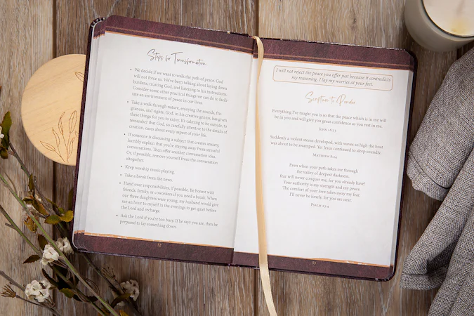 The Encounter - interior image