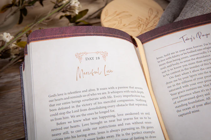 The Encounter - interior image