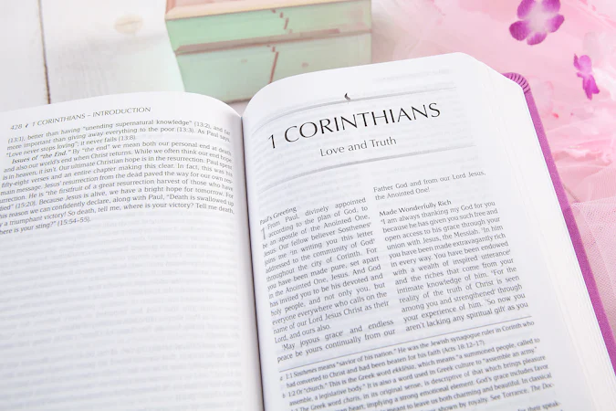 The Passion Translation New Testament (2020 Edition) Youth Girls Butterfly - interior image