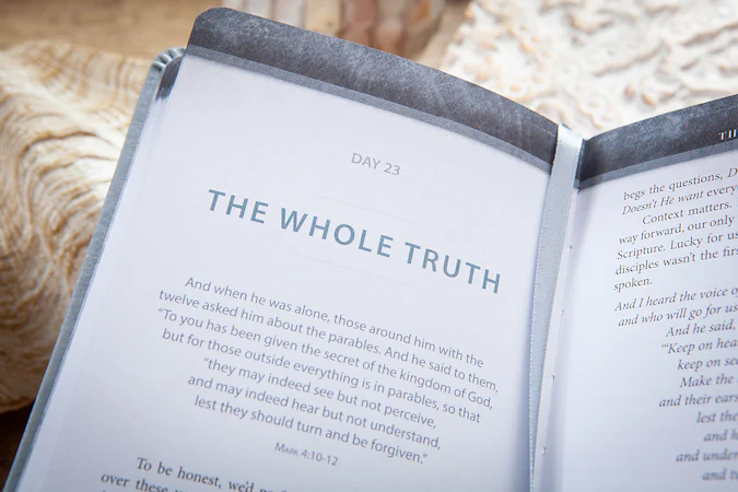 The Chosen Book Three - interior image