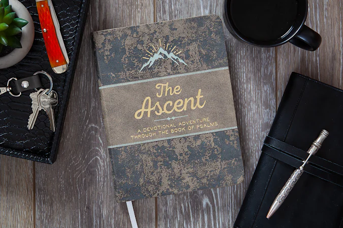 The Ascent - interior image