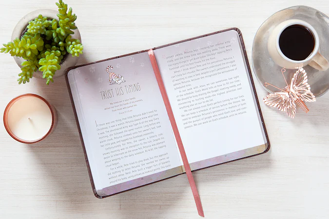 52 Devotions for Cat Lovers - interior image