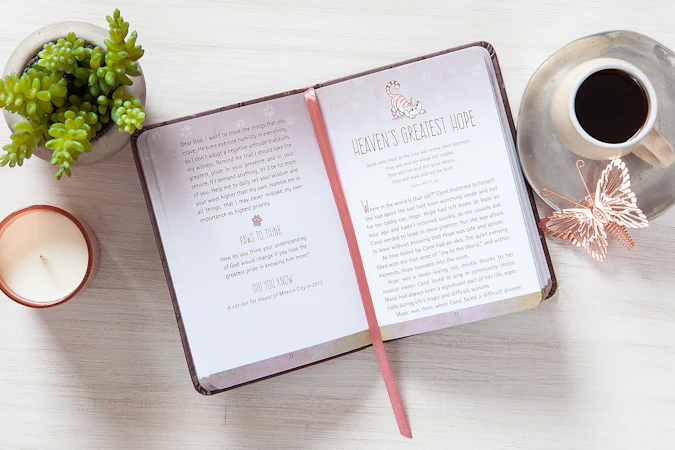 52 Devotions for Cat Lovers - interior image