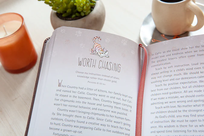 52 Devotions for Cat Lovers - interior image