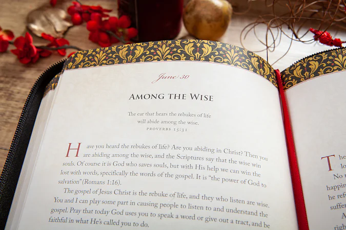 Wisdom for Life ziparound devotional - interior image