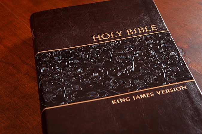 KJV Holy Bible Personal Mulberry - interior image