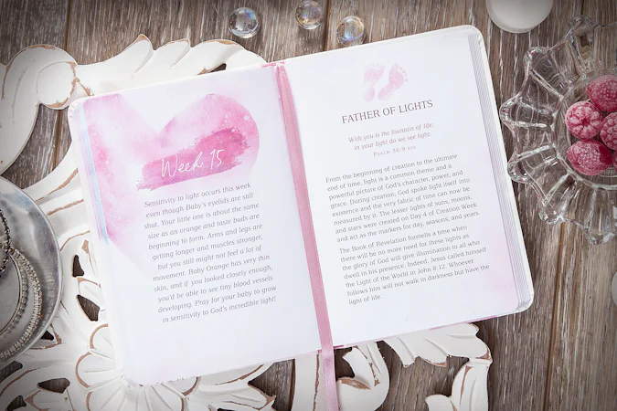I Love You Already - interior image