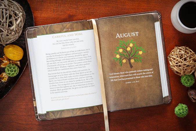 Apples of Gold - interior image