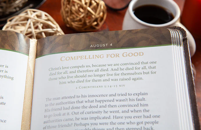 Apples of Gold - interior image