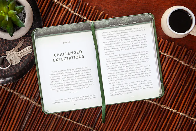The Chosen Book Five - interior image