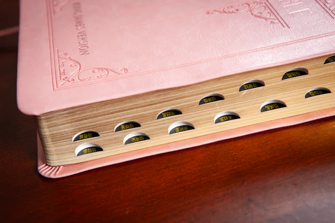 KJV Holy Bible Giant Print Blush - interior image