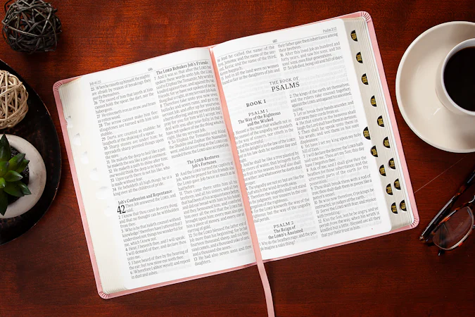 KJV Holy Bible Giant Print Blush - interior image