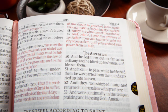 KJV Holy Bible Giant Print Blush - interior image