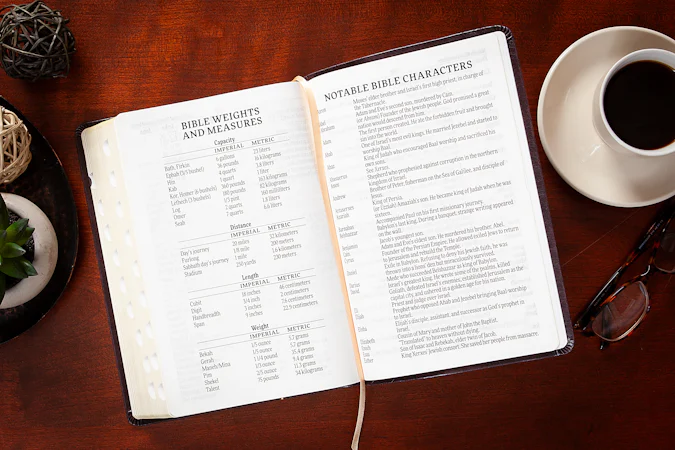 KJV Holy Bible Giant Print Blush - interior image