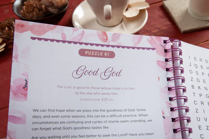 100 Days of Hope for Your Soul - interior image