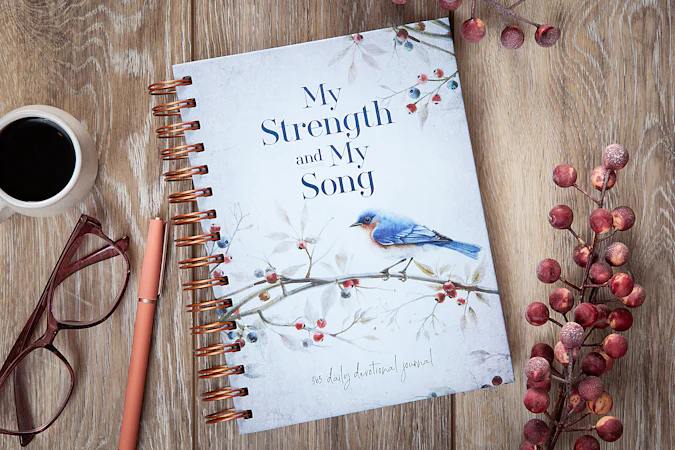 My Strength and My Song - interior image
