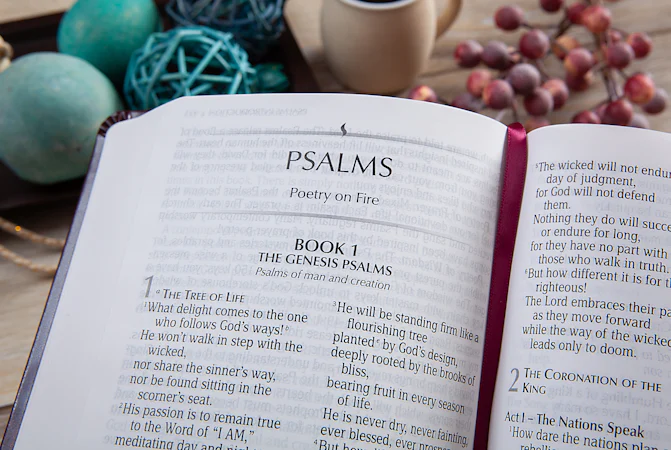 The Passion Translation New Testament (2020 edition) Giant Print Compact Burgundy - interior image