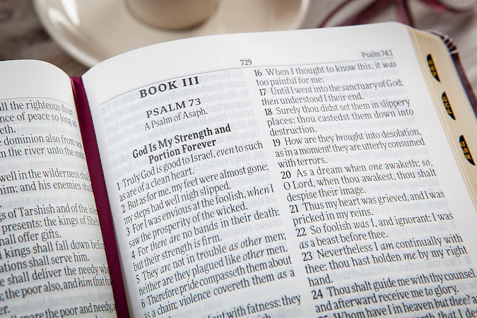 KJV Holy Bible Giant Print Compact Garnet - interior image