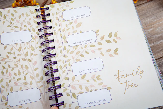 The Story of Mom - interior image