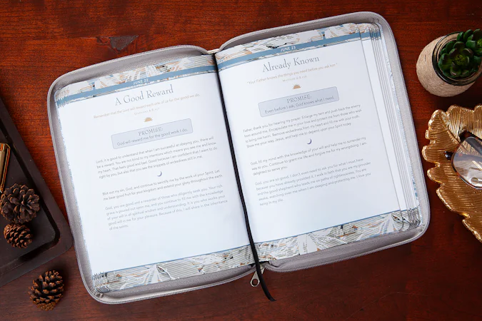 Daily Prayers and Promises for Men - interior image