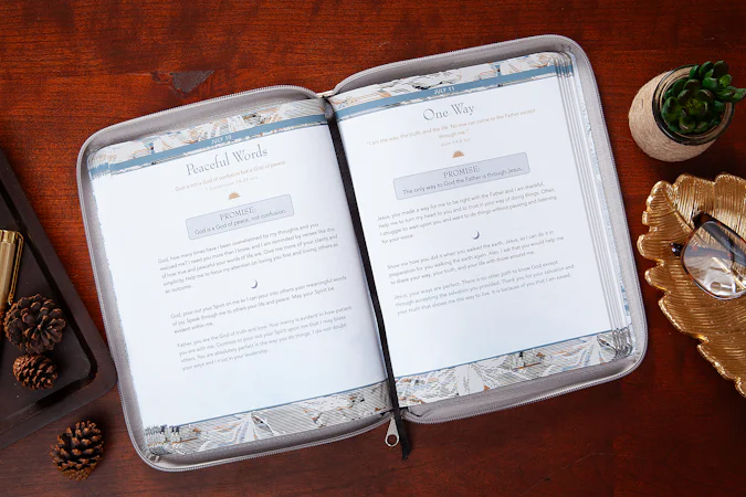 Daily Prayers and Promises for Men - interior image
