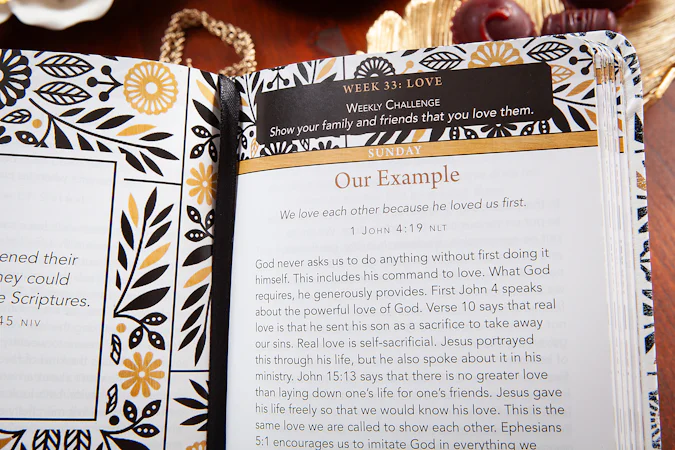 365 Daily Bible Studies for Women - interior image
